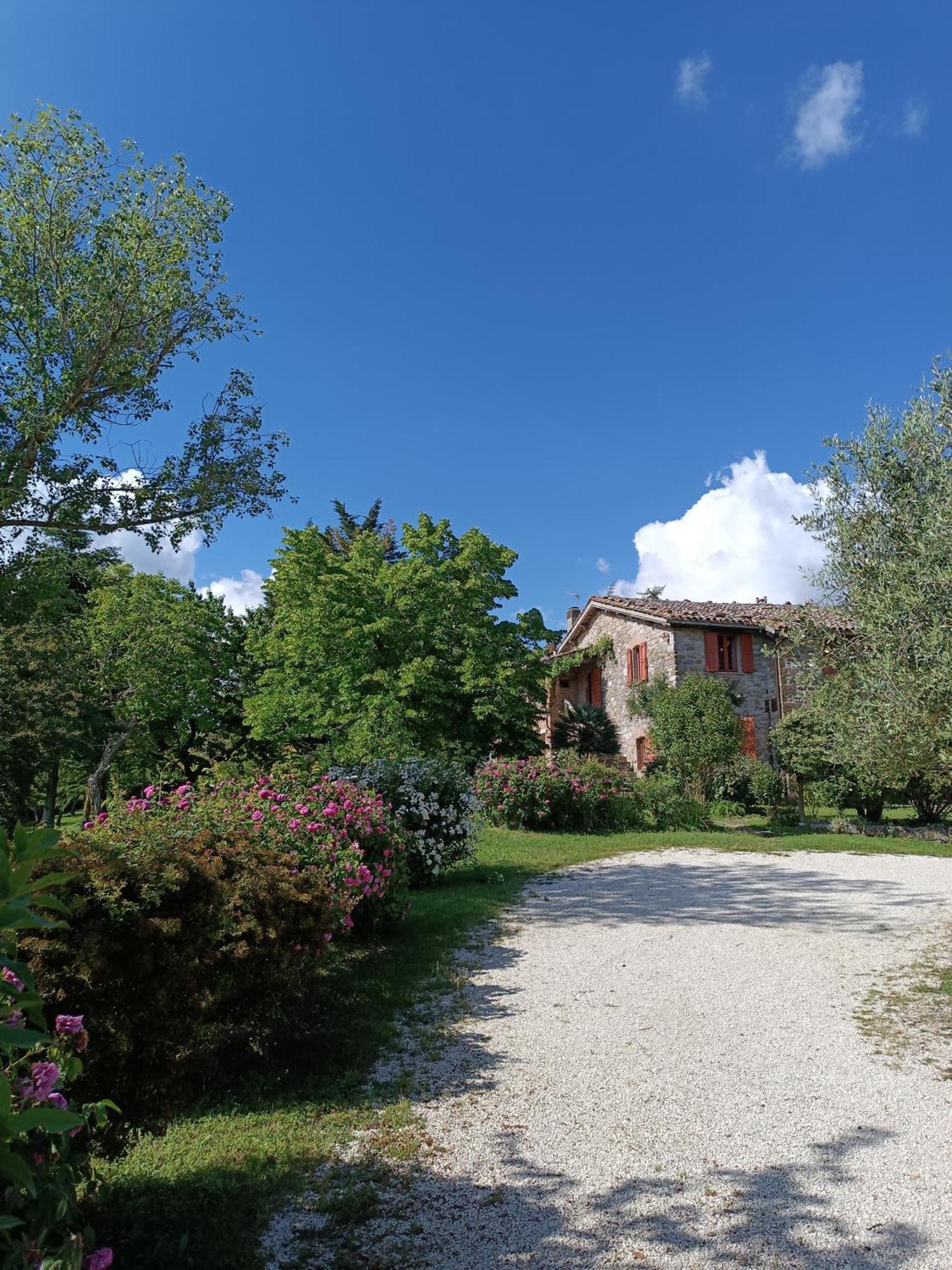 Pilgrim Rooms Губбио Экстерьер фото
