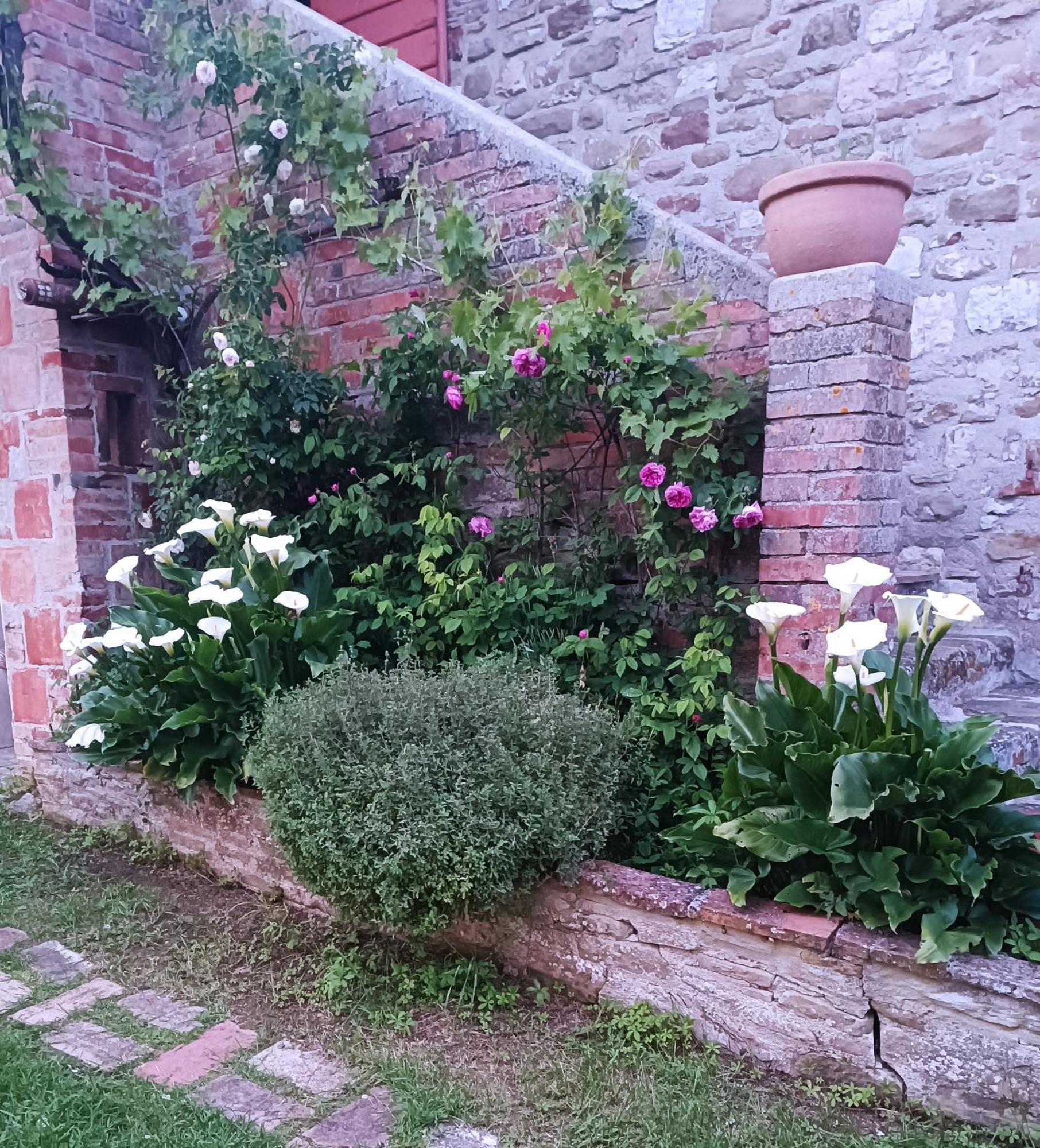 Pilgrim Rooms Губбио Экстерьер фото